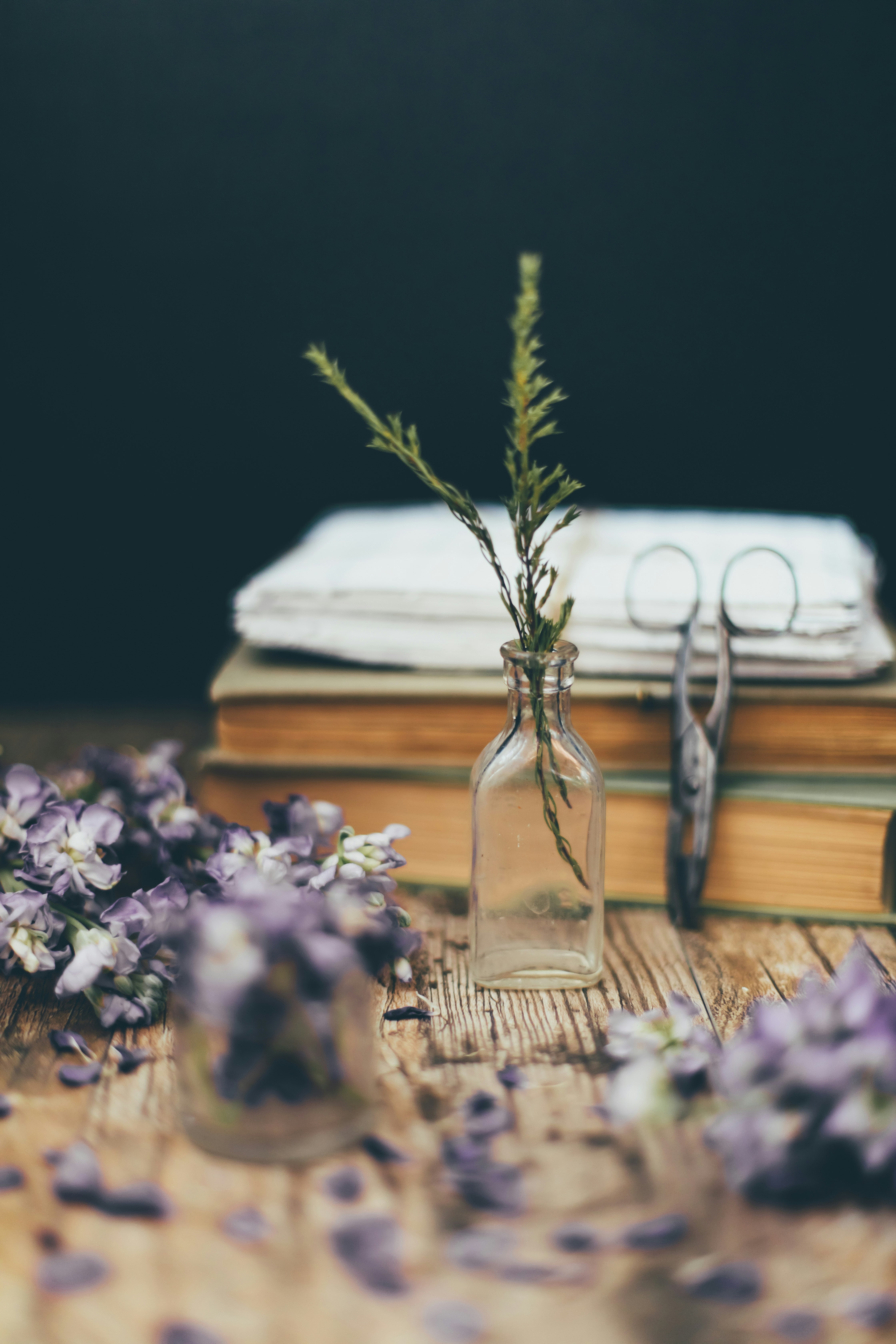 purple flowers in clear glass vase