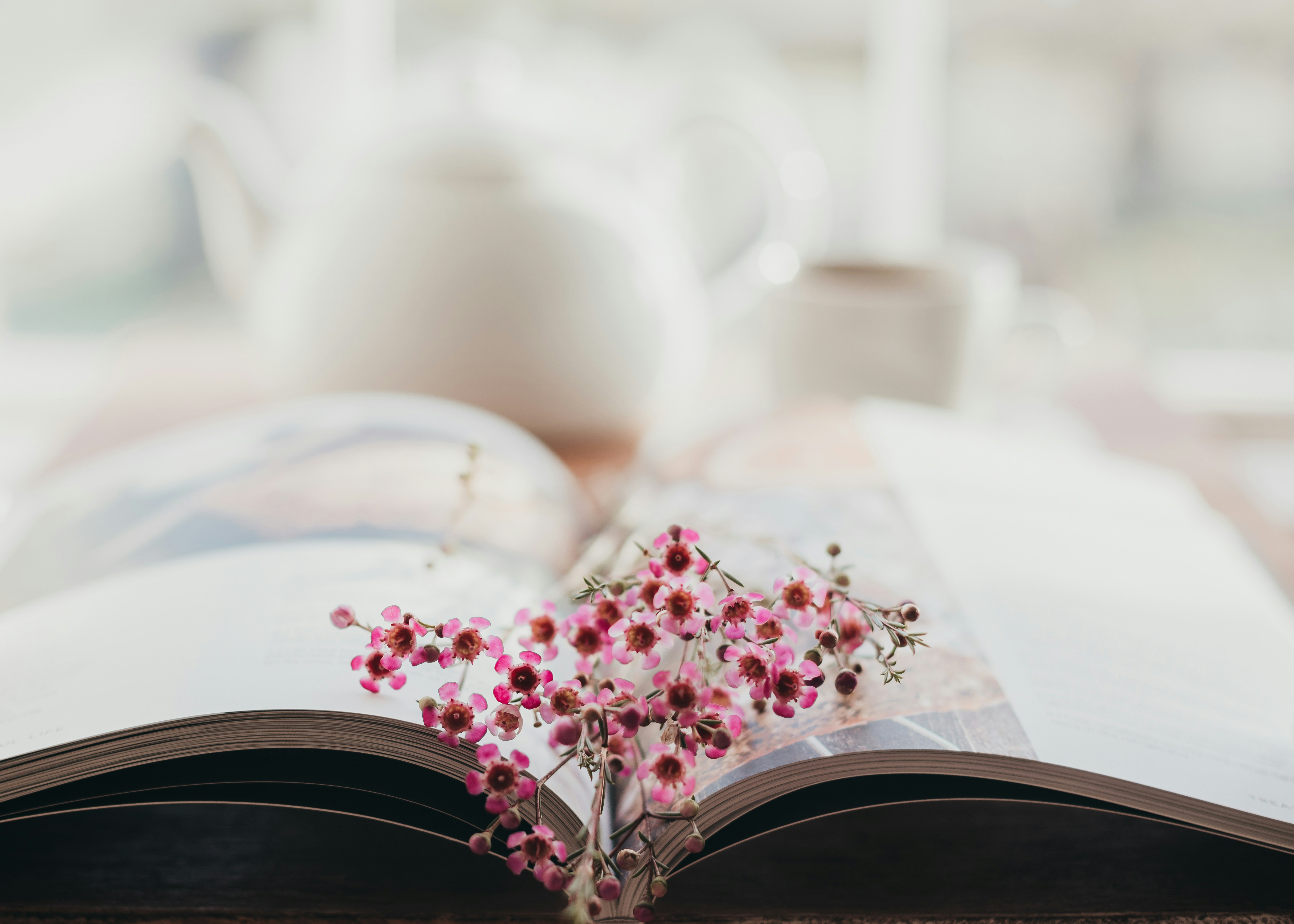 Wedding ceremony, reading couple, love quotes, intimate moments  , ilustrasi artikel How to Choose Your Wedding Readings 7