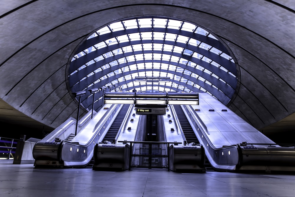 white and blue bus in a tunnel