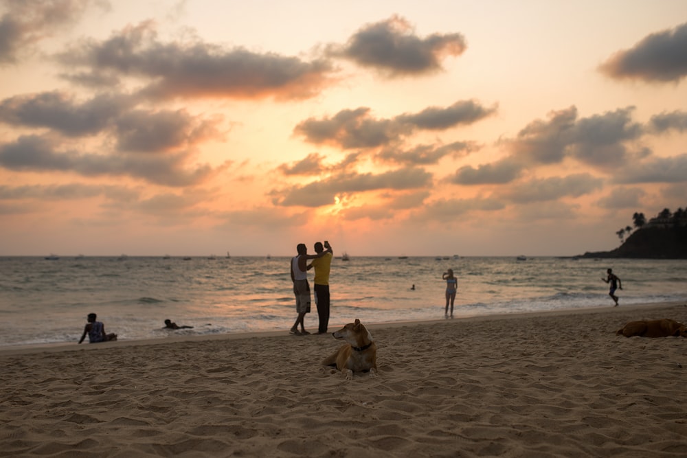 man and woman standing on beach during sunset