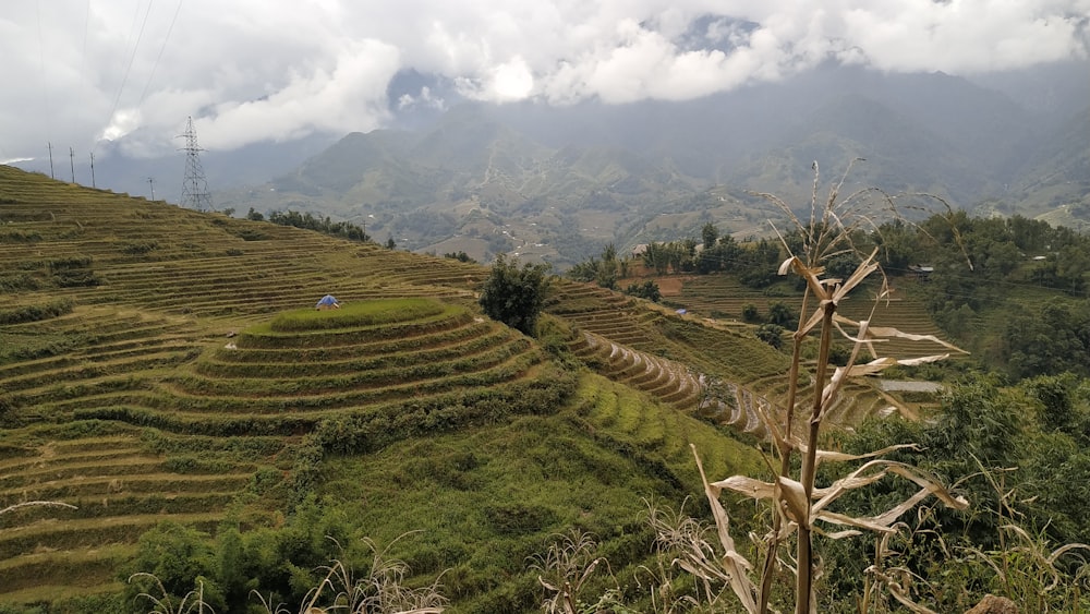 green grass field near mountain during daytime