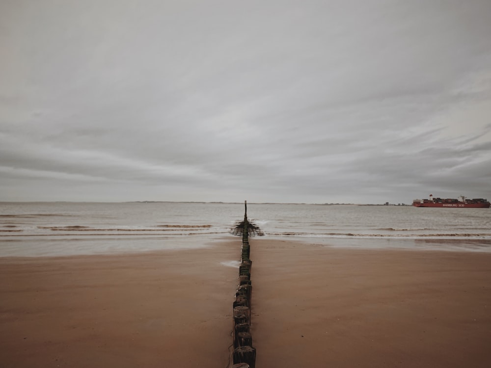 brown wooden fence on beach during daytime