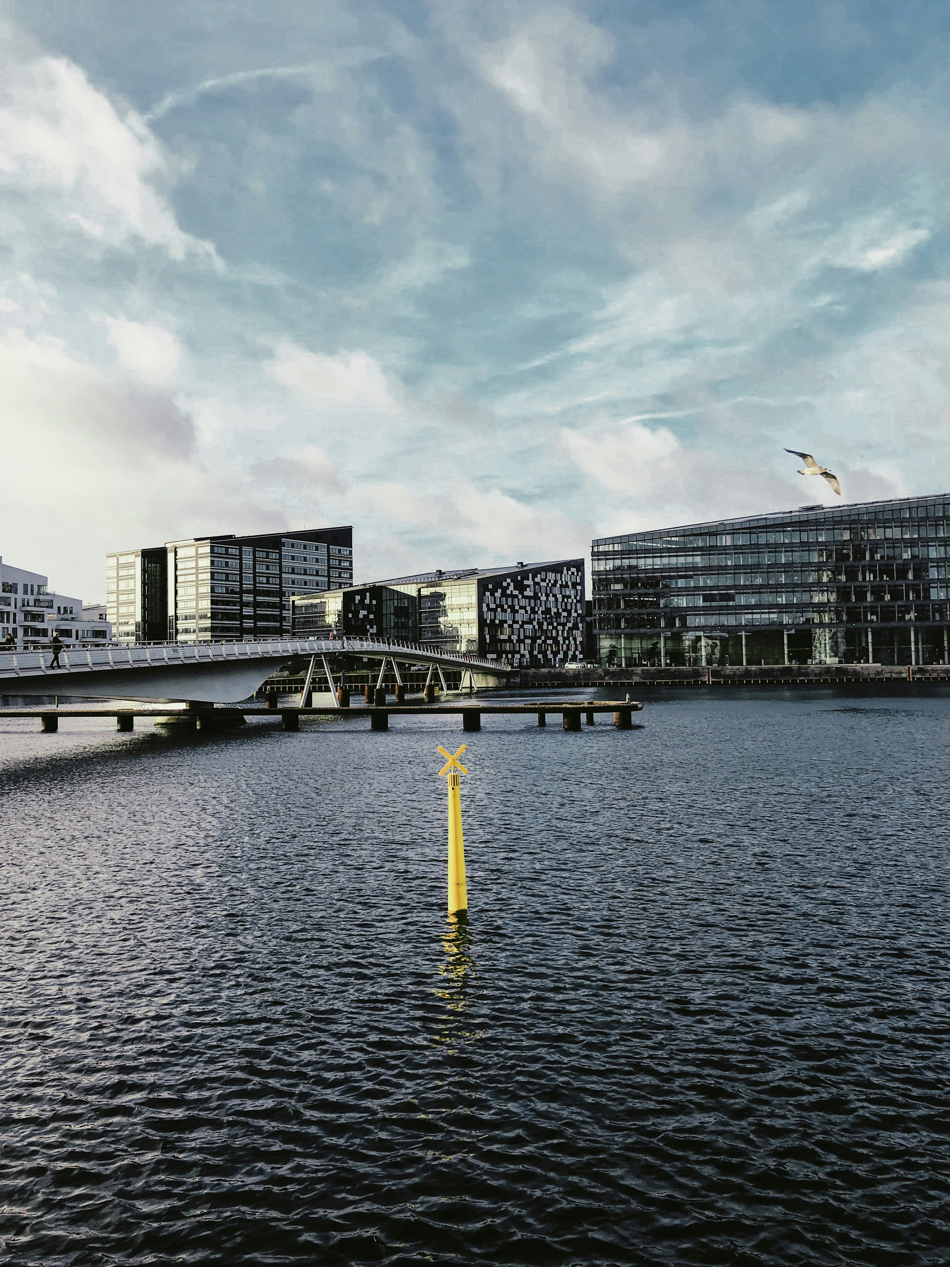 Photo by karlinakluce