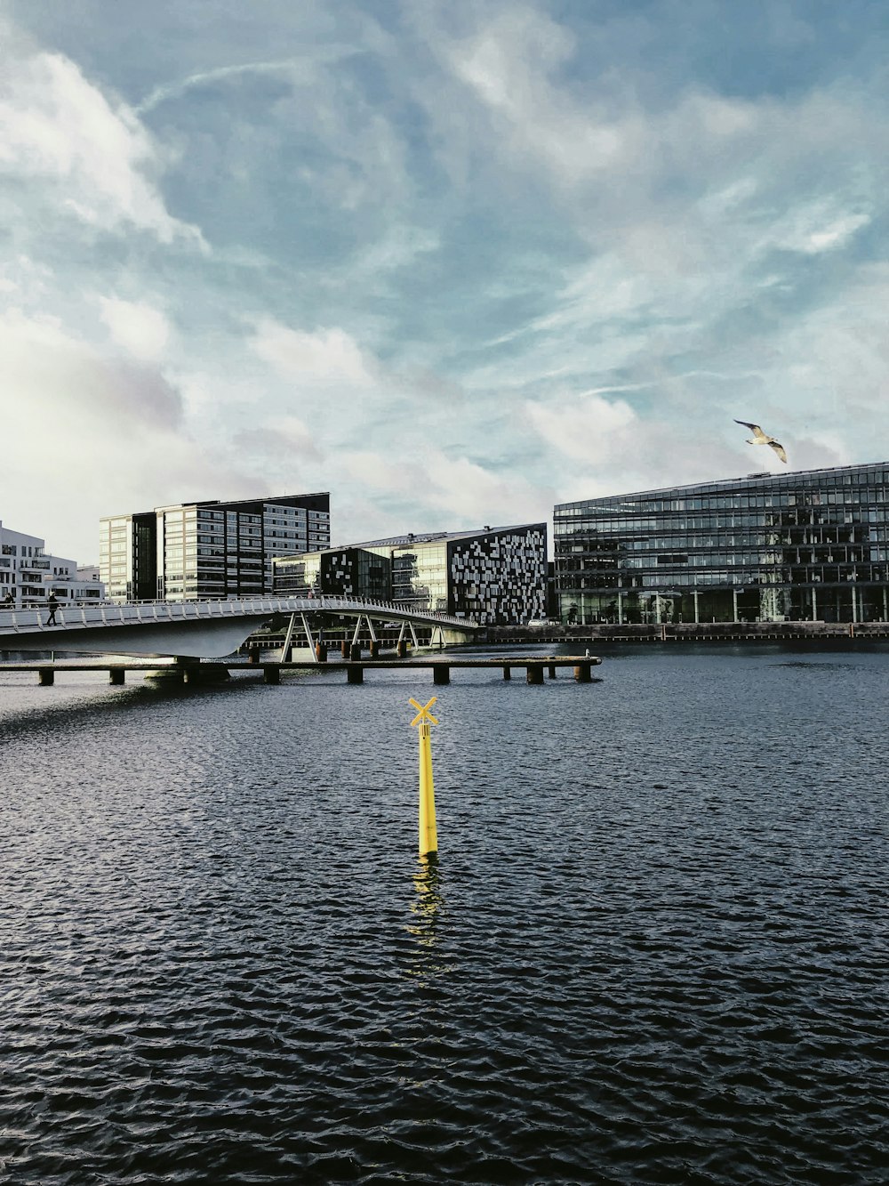 body of water near city buildings during daytime