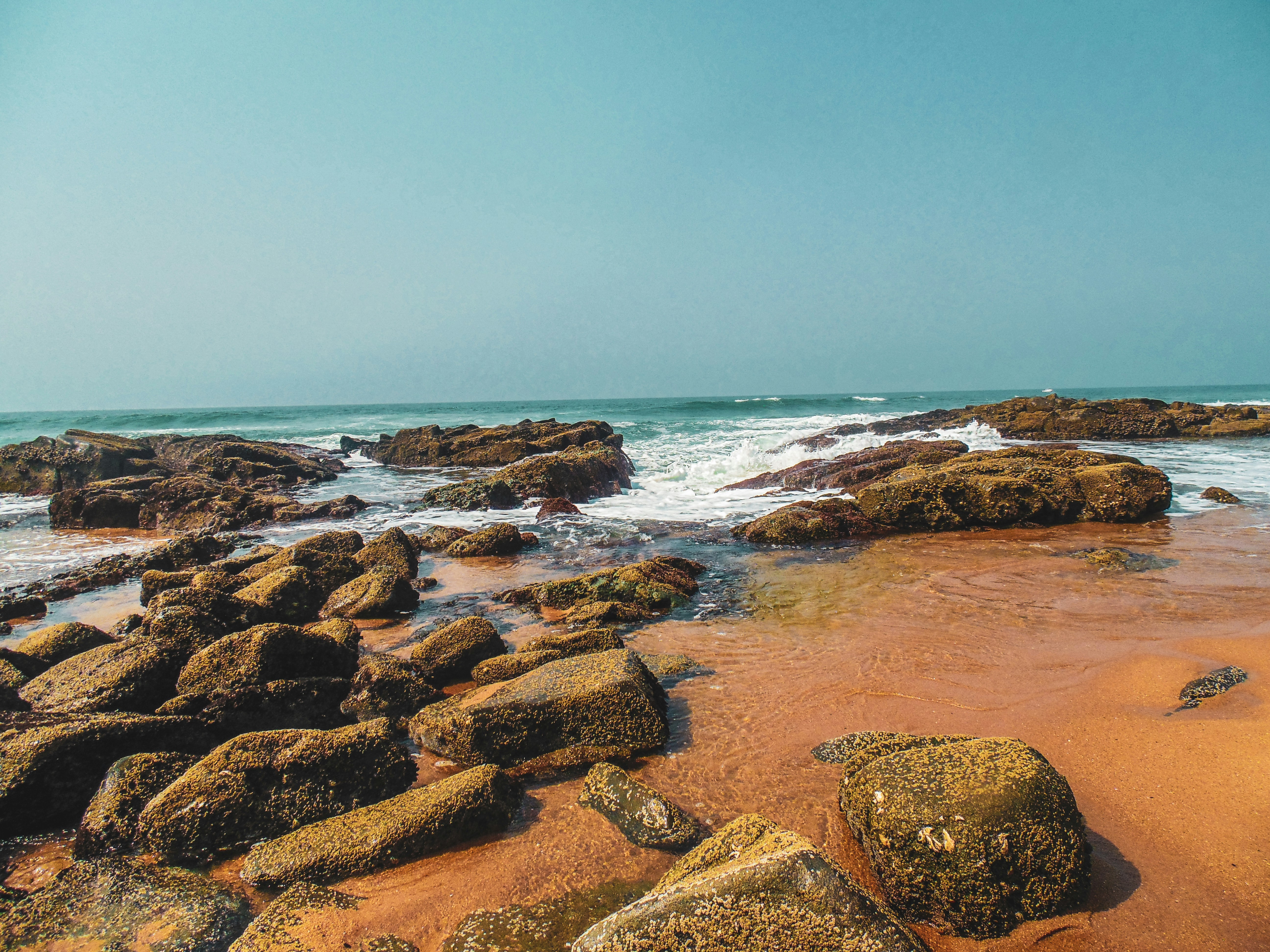 Photo by juanita770427