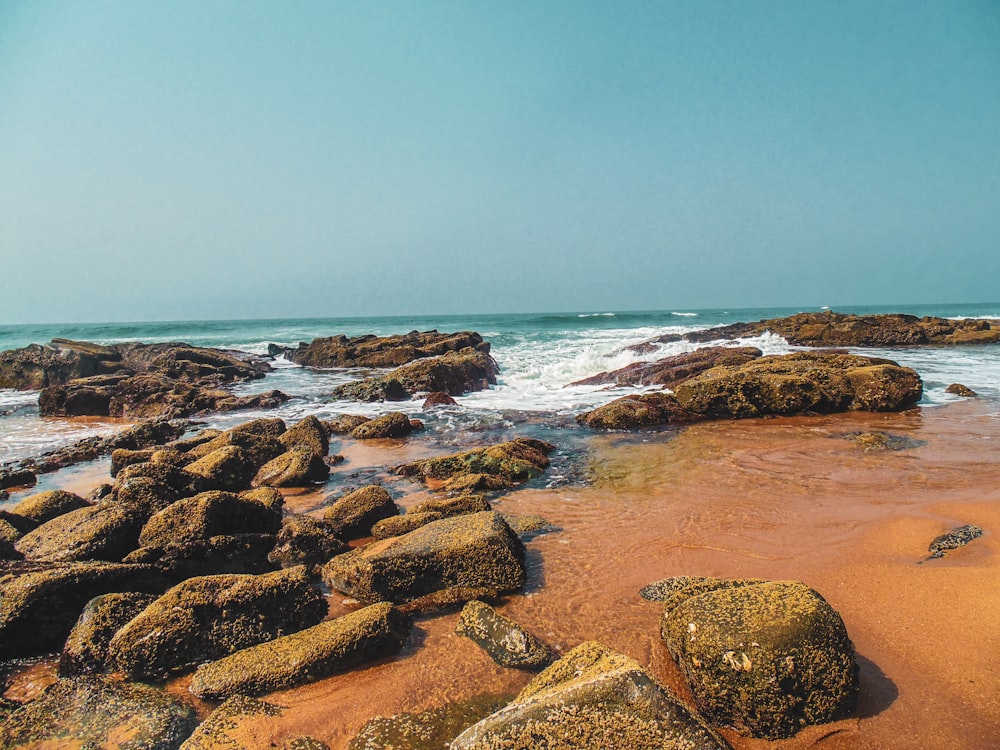 brown rocks on seashore during daytime