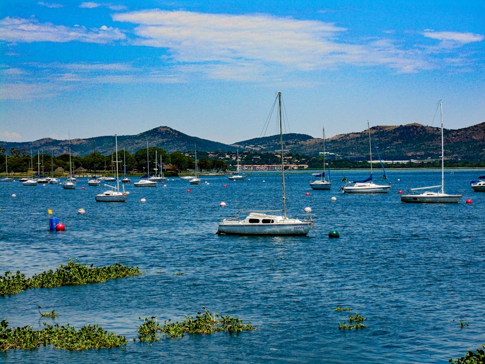 white boat on body of water during daytime