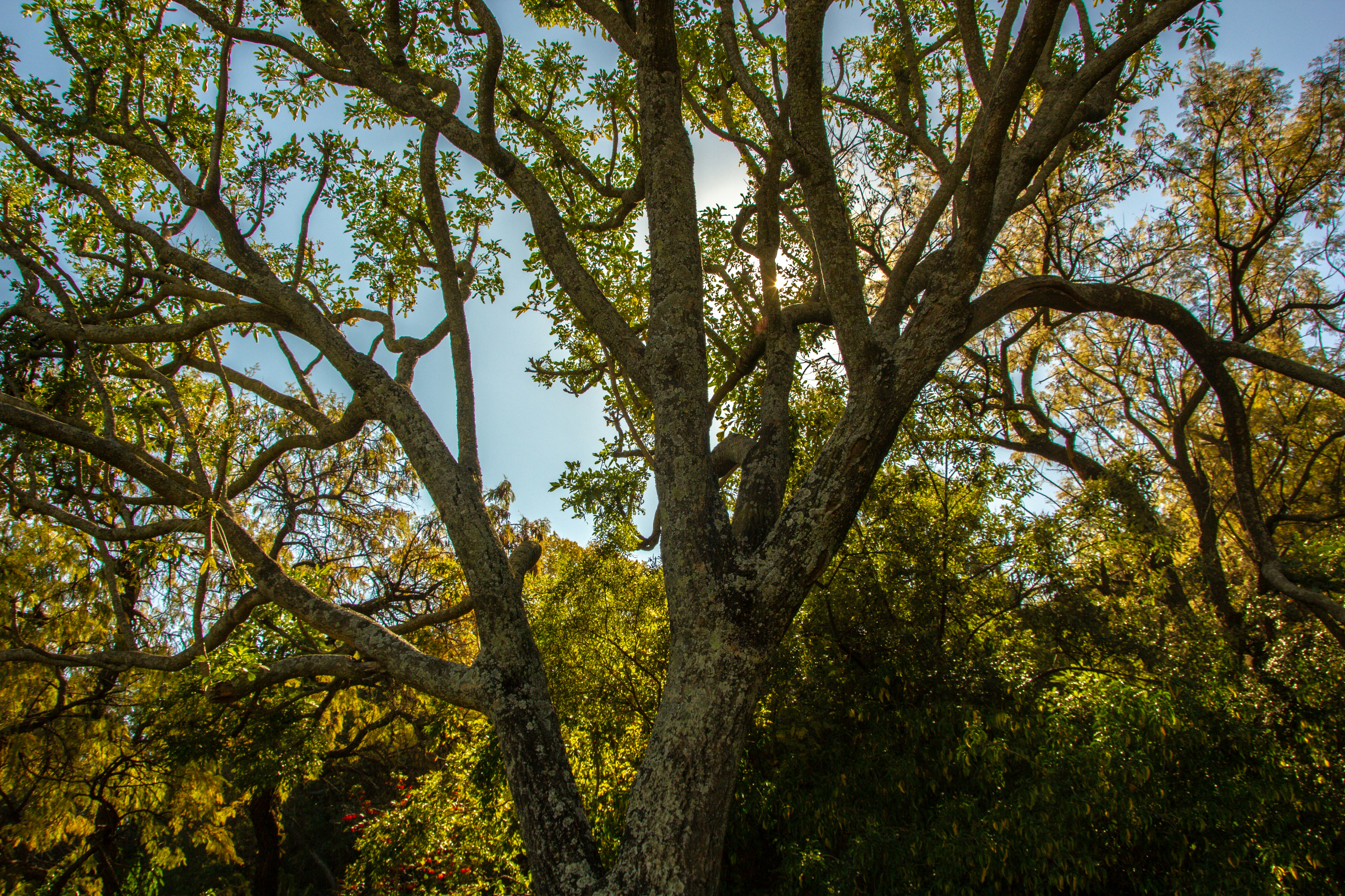 Photo by juanita770427