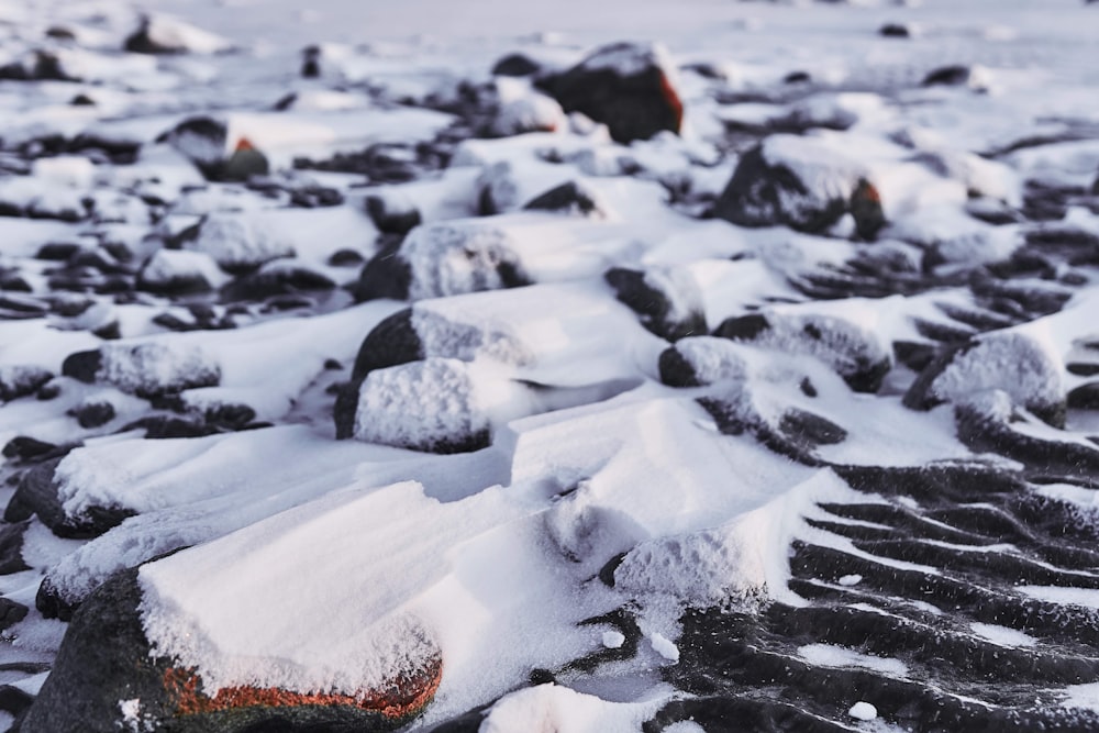 white snow on brown field during daytime