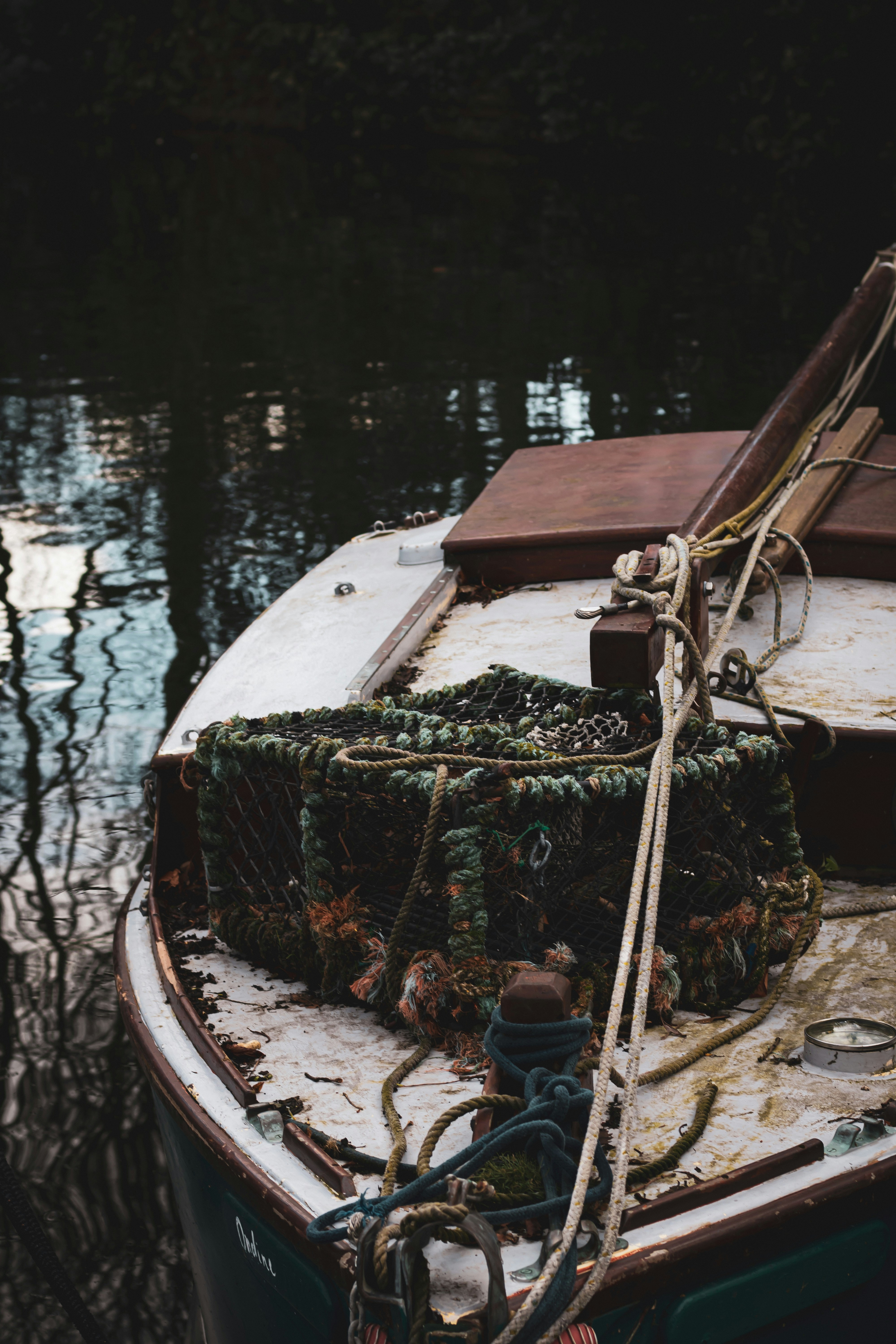 Photo by capturing_ambedo