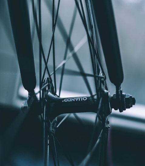 A close-up view of a bicycle wheel hub, showcasing intricate spokes and mechanical components. The focus is on the central hub with a logo, while the background is softly blurred, giving a sense of depth.