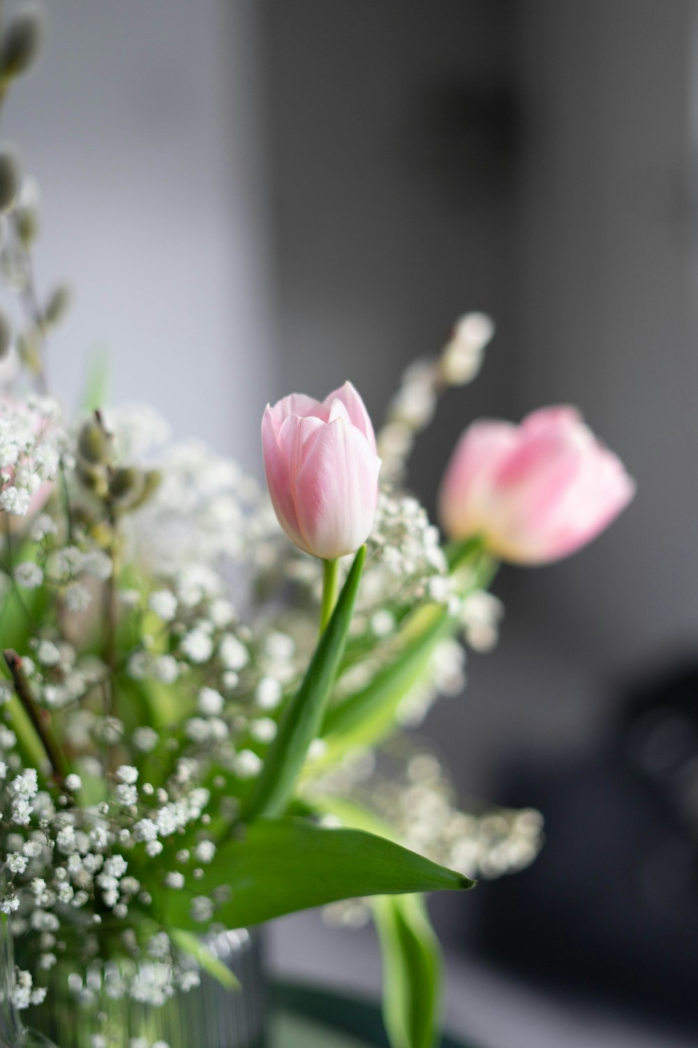 pink and white flower in tilt shift lens