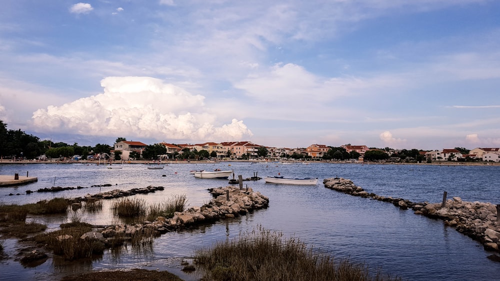 body of water near green trees under white clouds and blue sky during daytime