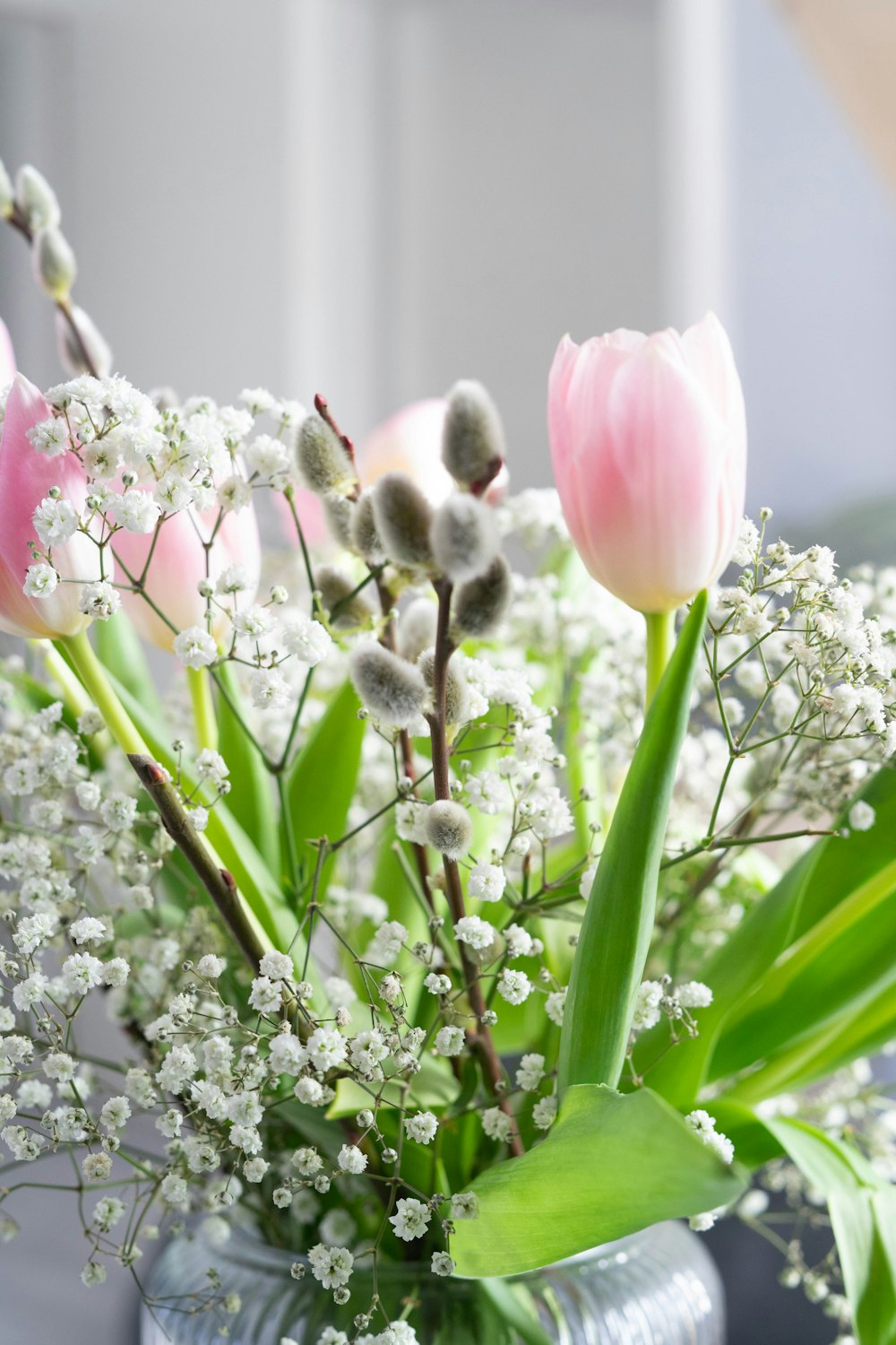 pink and white flowers in tilt shift lens