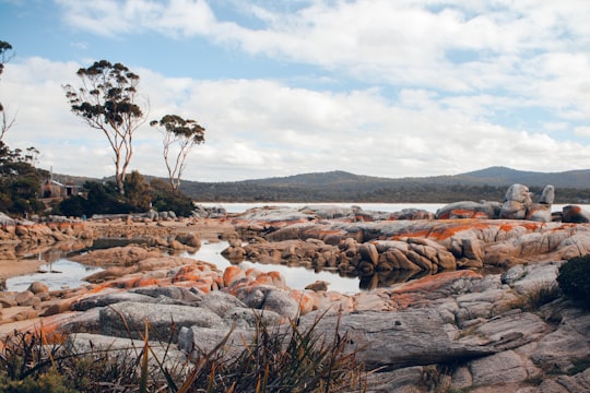 brown rocks on brown field under white clouds during daytime in Bay of Fires Australia
