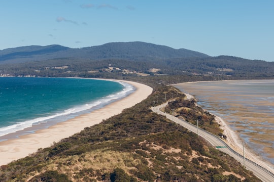 aerial view of green trees and blue sea during daytime in Bruny Islan Australia