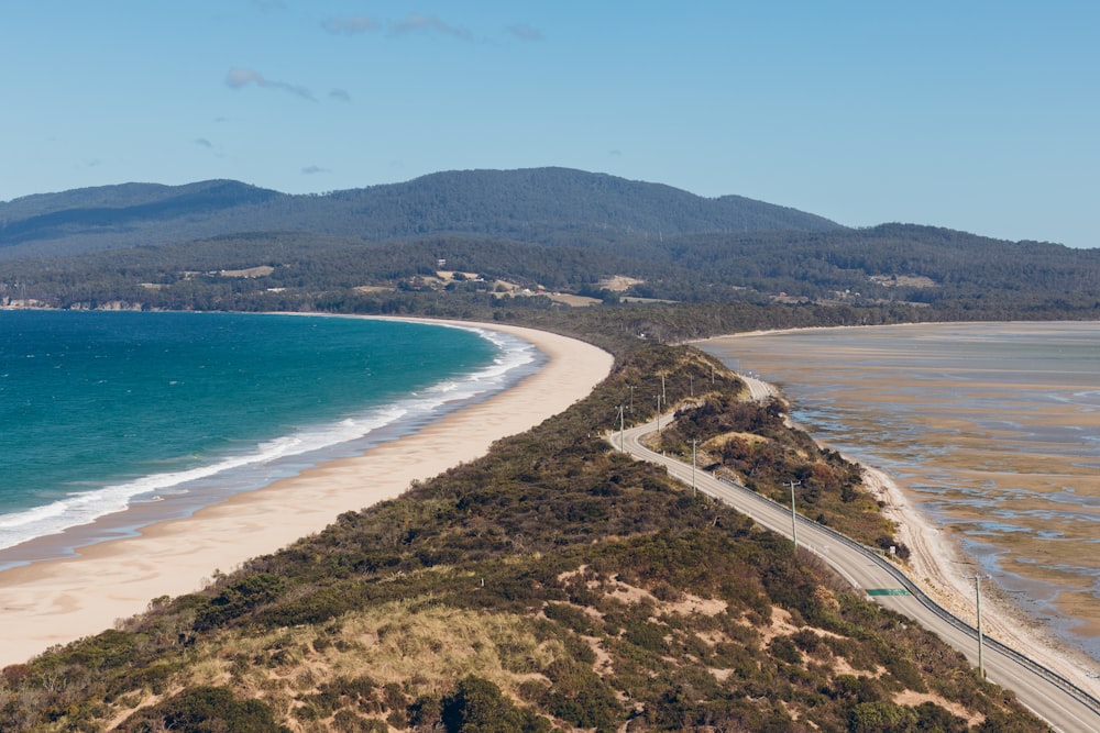 Vue aérienne des arbres verts et de la mer bleue pendant la journée