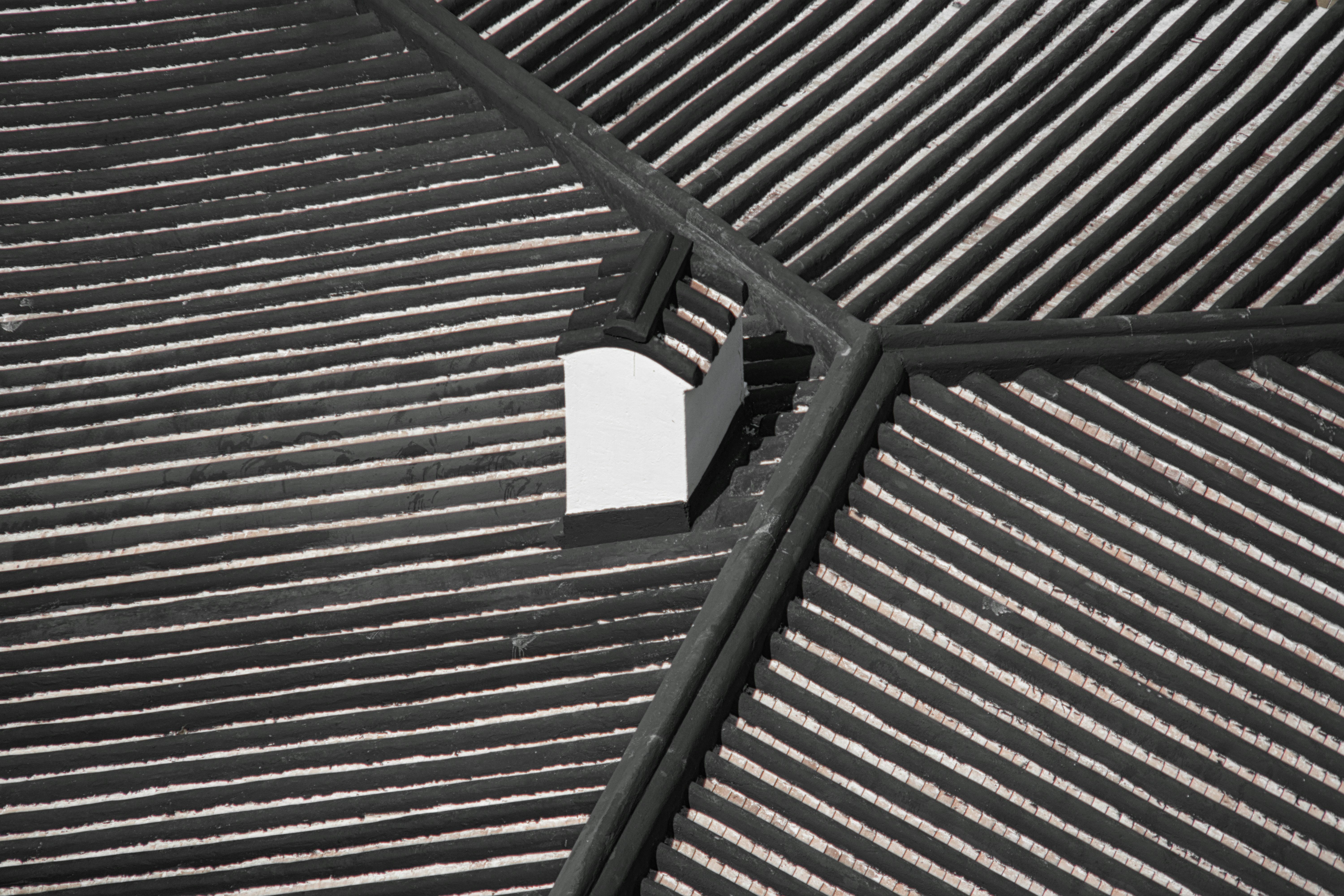 Photo by thomaskinto