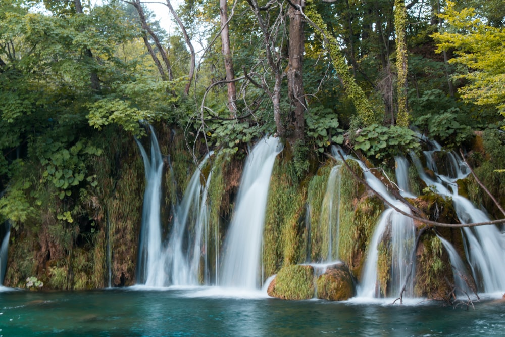 waterfalls in the middle of the forest during daytime