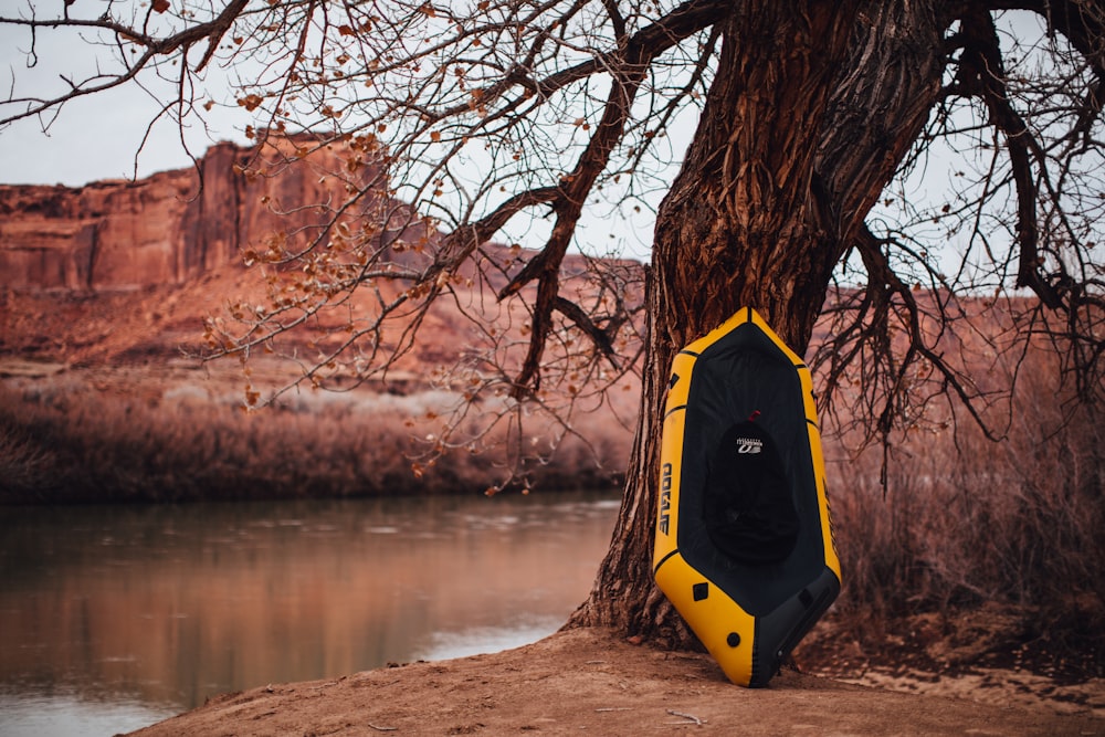 yellow and black kayak on brown rock near brown bare tree during daytime