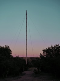 A tall, slender radio or communication tower rises prominently against a gradient sky that transitions from a pale blue at the top to a soft pink near the horizon. It is supported by several cables anchored to the ground. Surrounding the base of the tower are dense clusters of dark green trees, creating a natural frame. The landscape is flat with a distant horizon line.