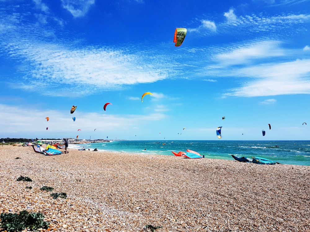 people on beach during daytime