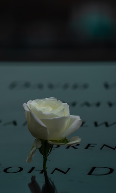 Close-up of a delicate white lily resting beside a polished stone engraved with a heartfelt message