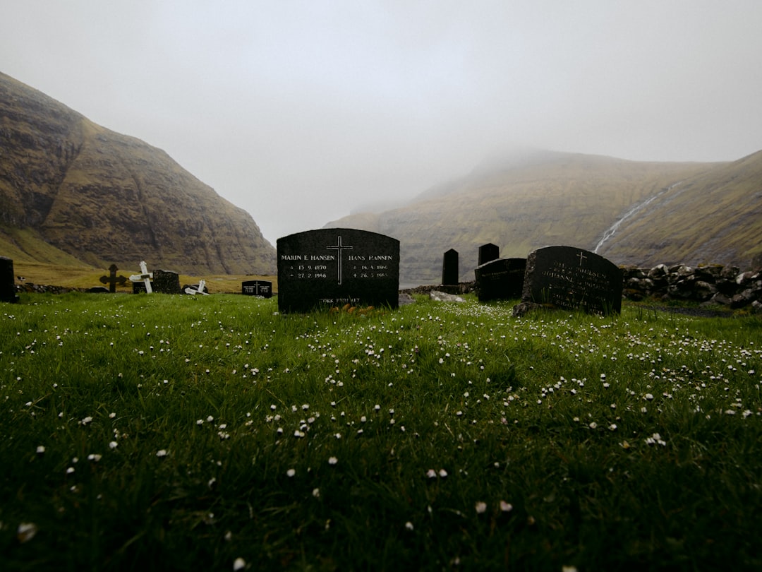 green grass field near mountain during daytime