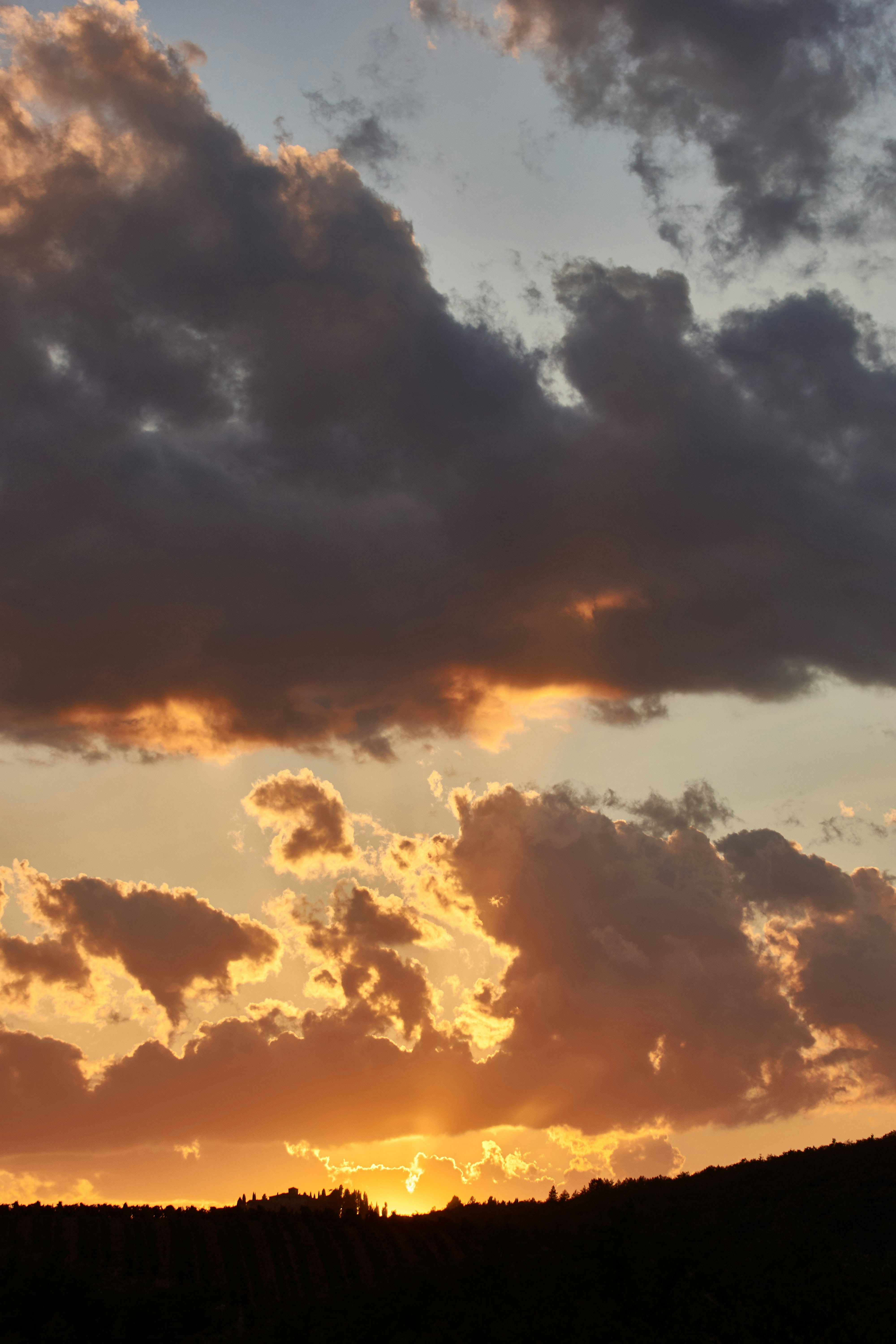 Photo by wolfgang_hasselmann