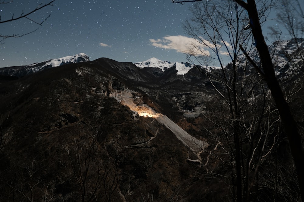 bare trees near snow covered mountain during daytime