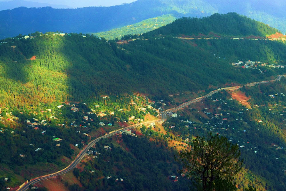 vista aérea de árvores verdes e montanhas durante o dia