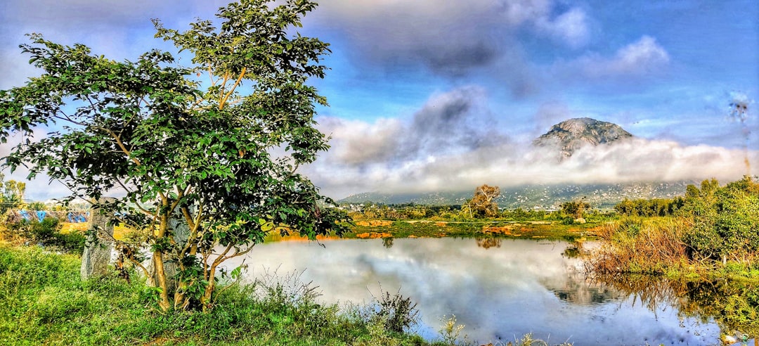 Nature reserve photo spot Nandi Hills Bengaluru