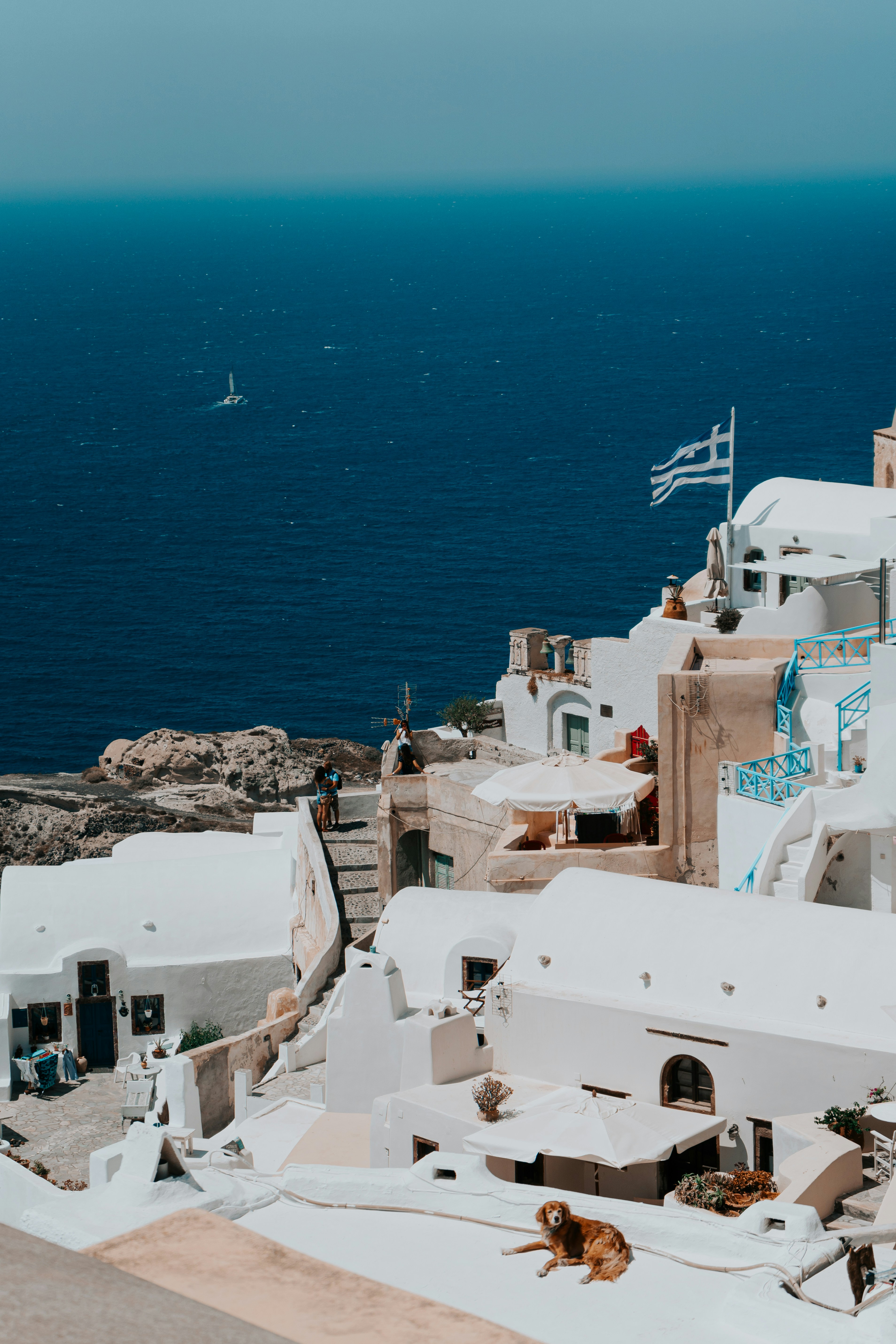 Whitewashed buildings with blue accents are perched on a hillside overlooking a deep blue sea. A Greek flag waves gently in the breeze, and there is a small dog resting in the foreground. A few people can be seen walking along the steps between the buildings.