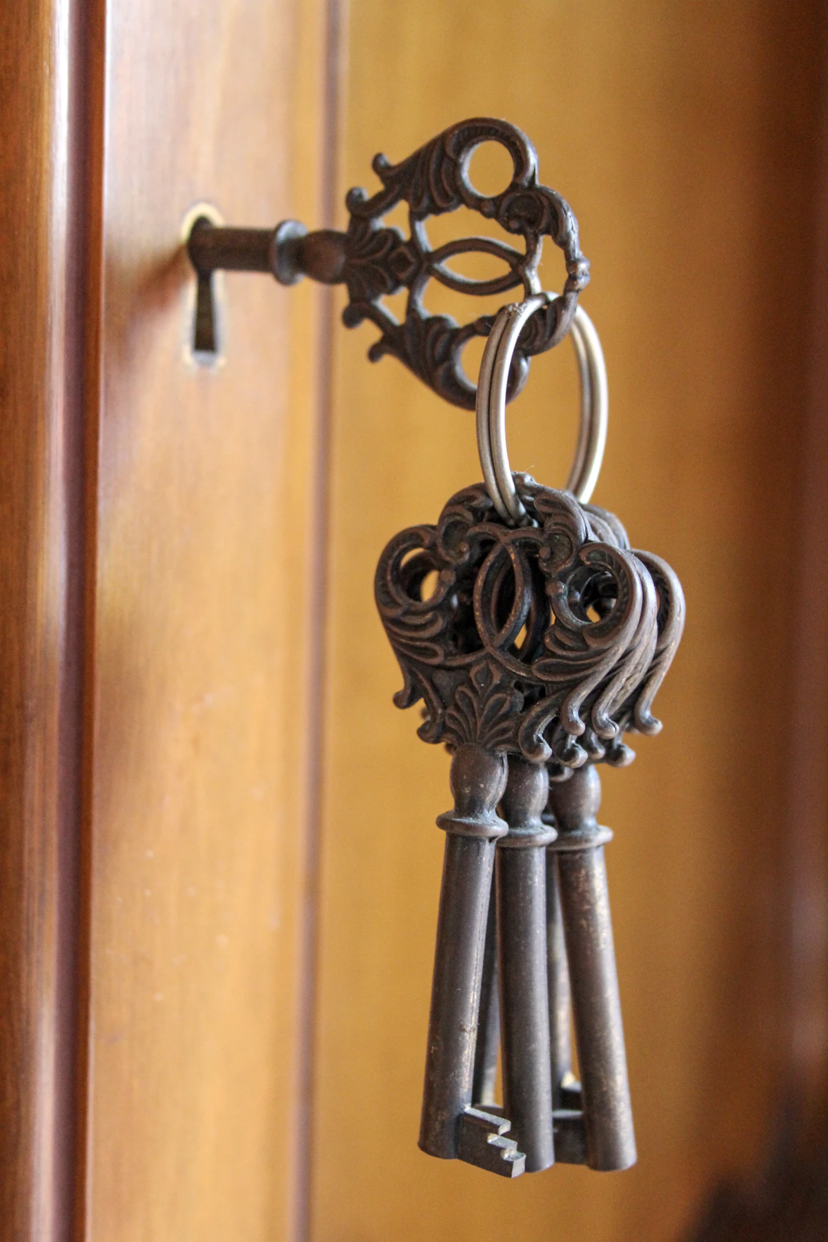 Close-up of a silver interior door handle