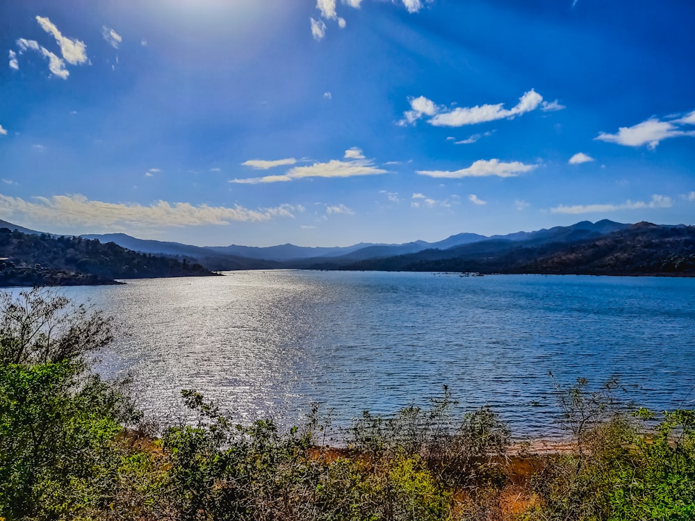 green grass near body of water under blue sky during daytime