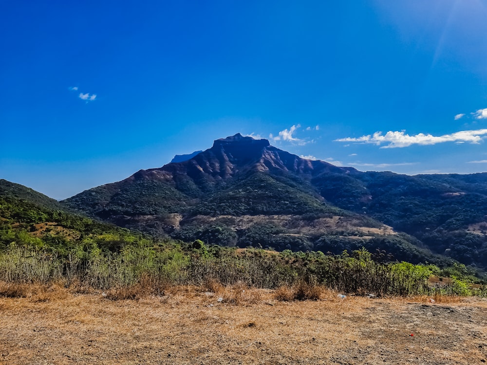 green and brown mountain under blue sky during daytime