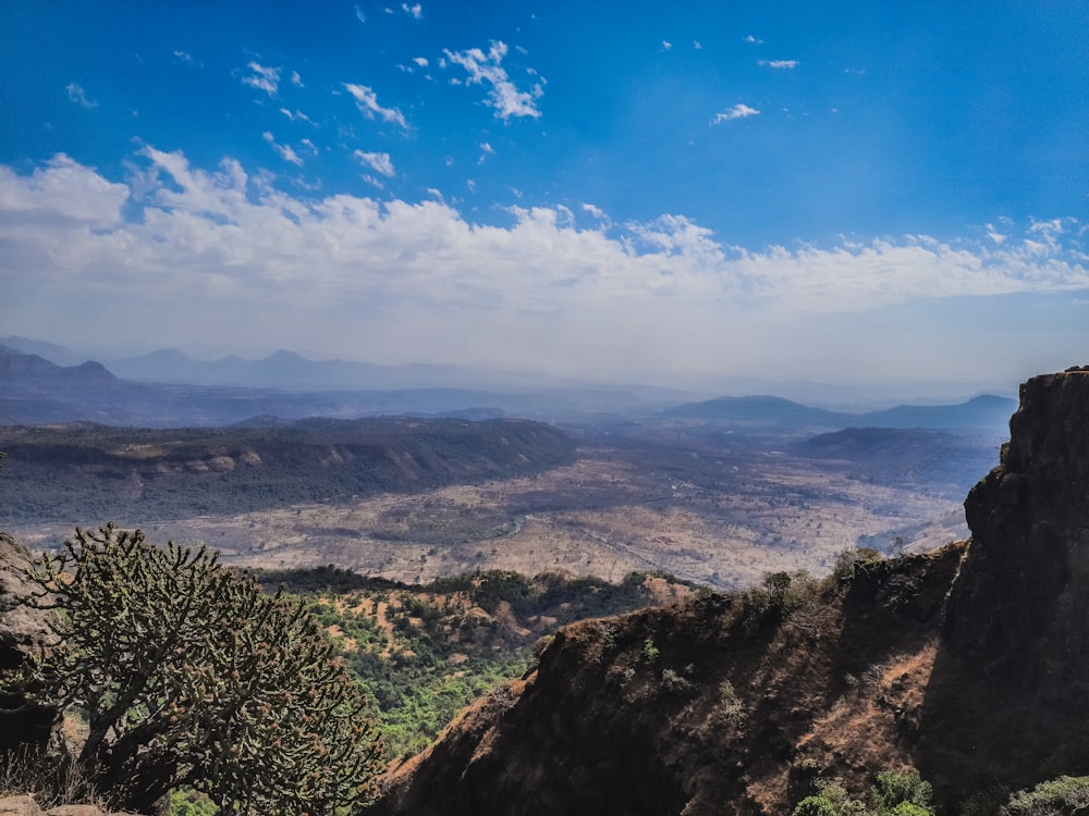 green trees on brown mountain under blue sky during daytime