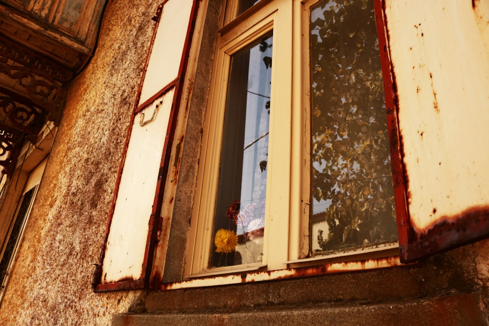 brown wooden framed glass window