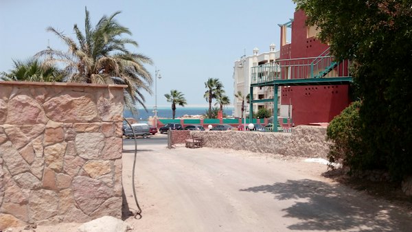 Green palm tree near white concrete building during daytime — Hurghada, Egypt