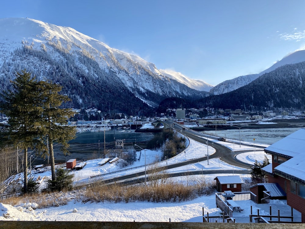 green trees near body of water and snow covered mountain during daytime