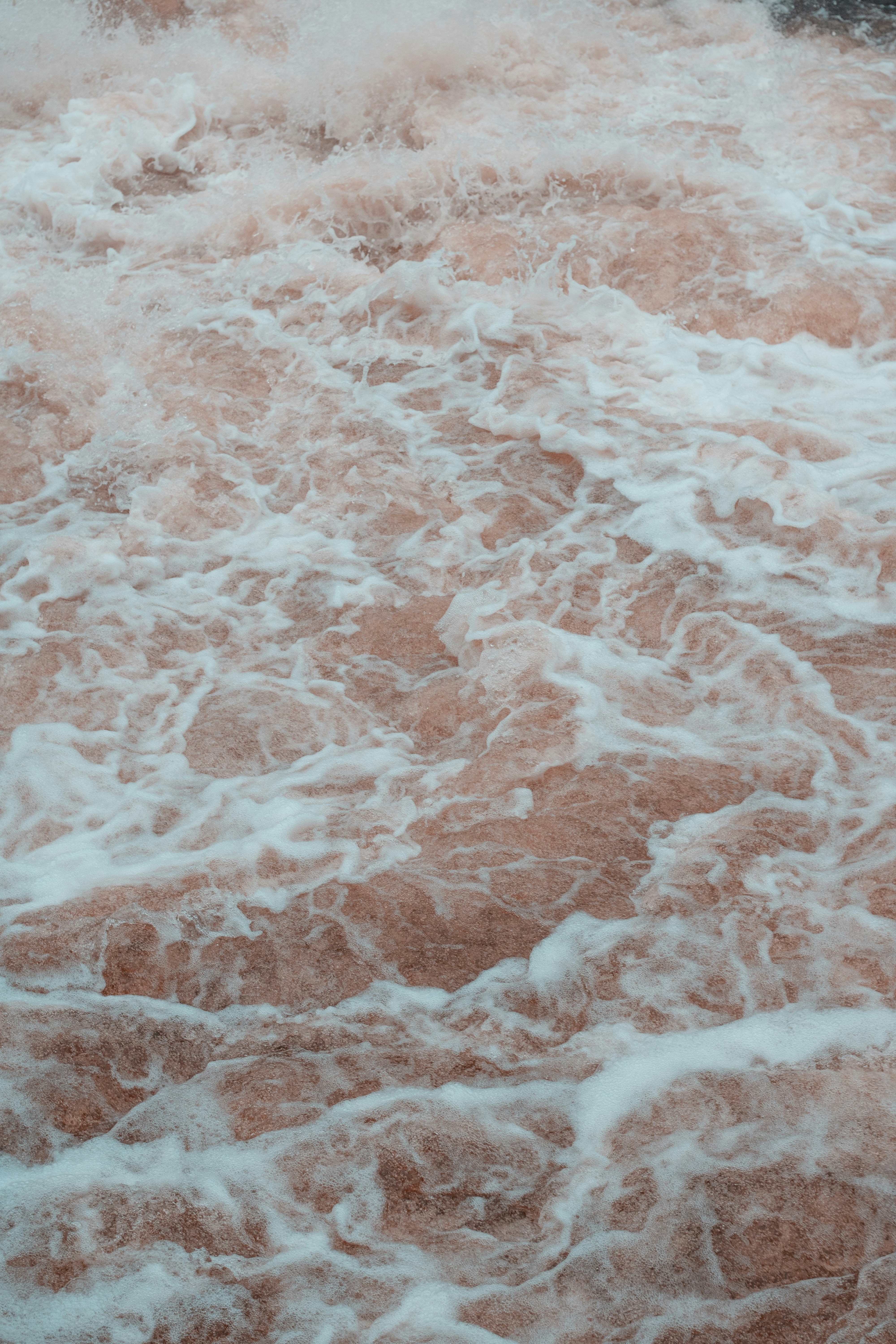 Photo by lucaskohoko