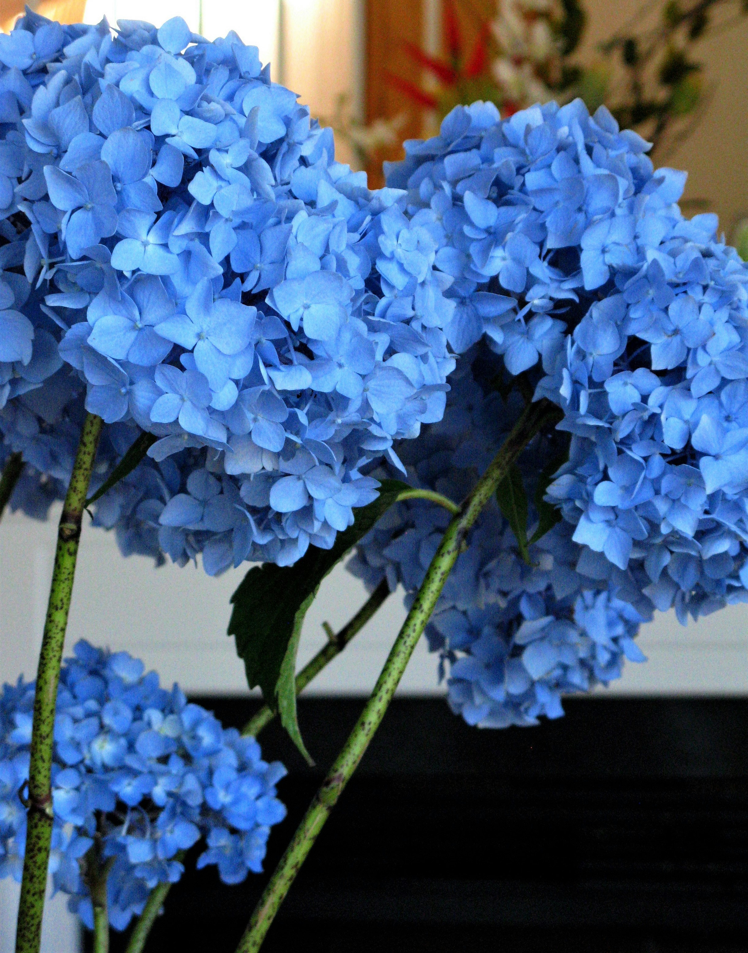 Photo by arozwadowska