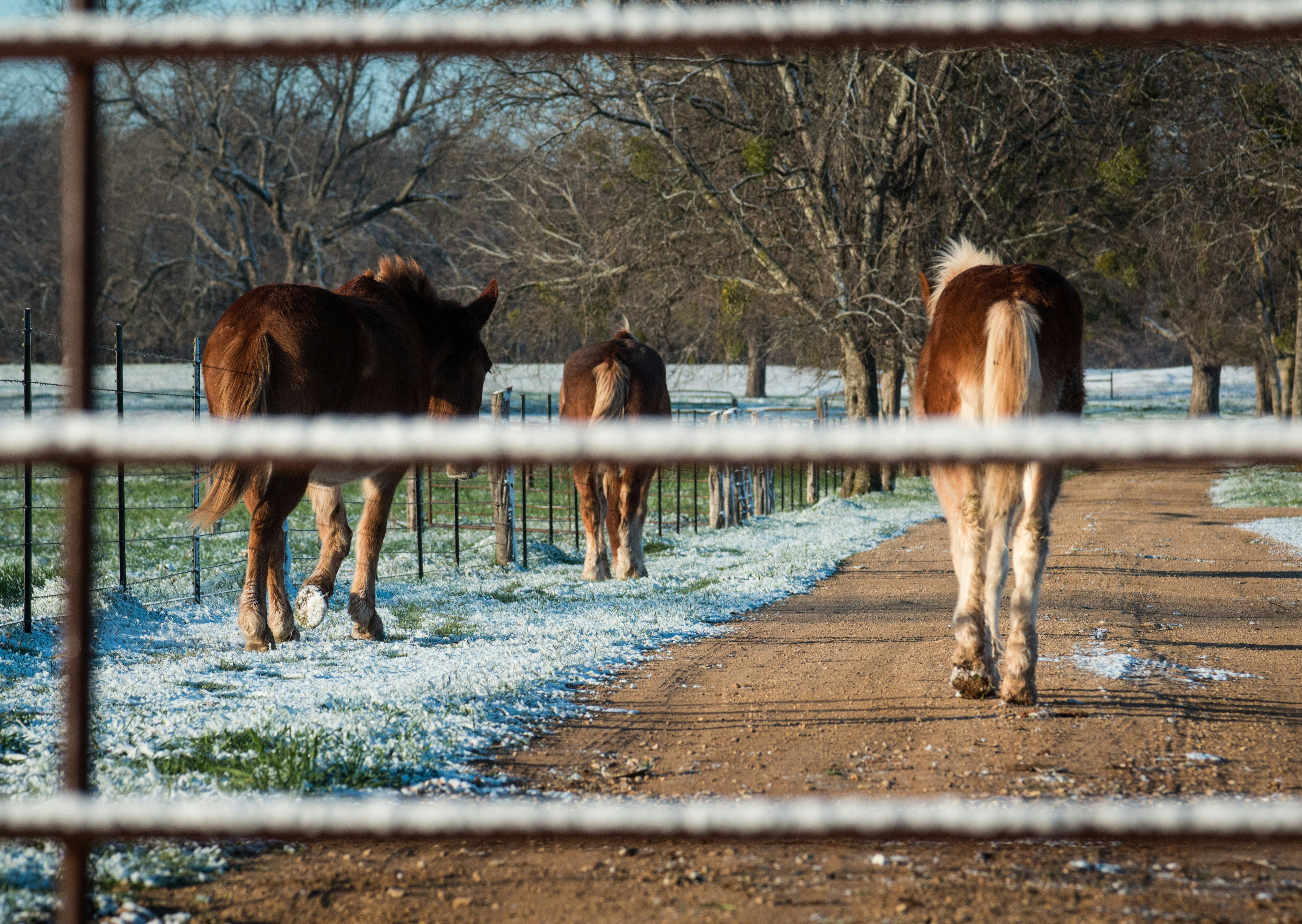 Photo by matthewelancaster