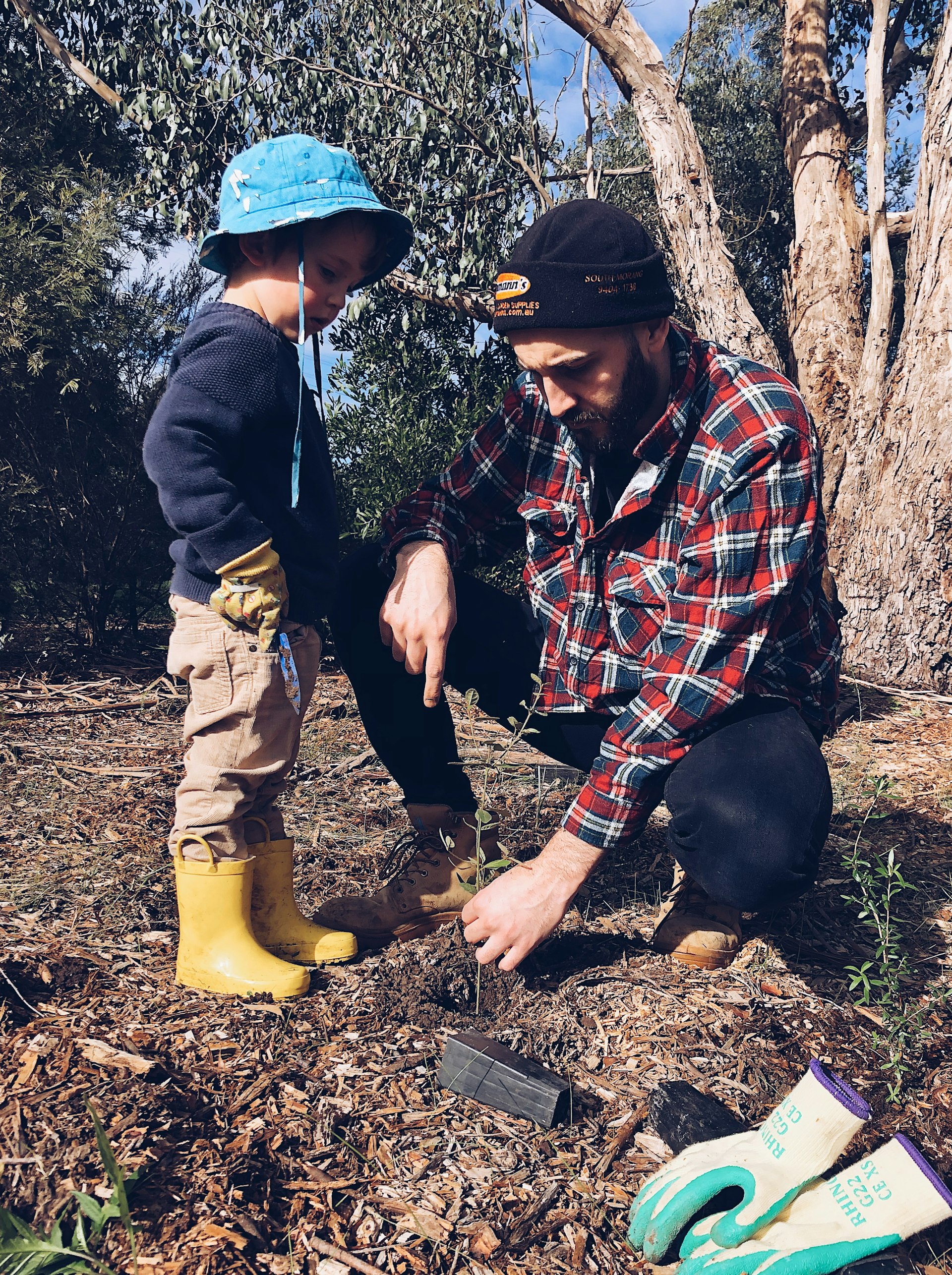 Permaculture Design