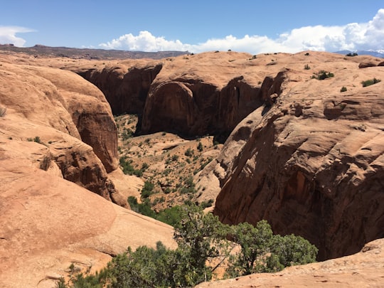 Hell's Revenge 4x4 Trail things to do in Moab