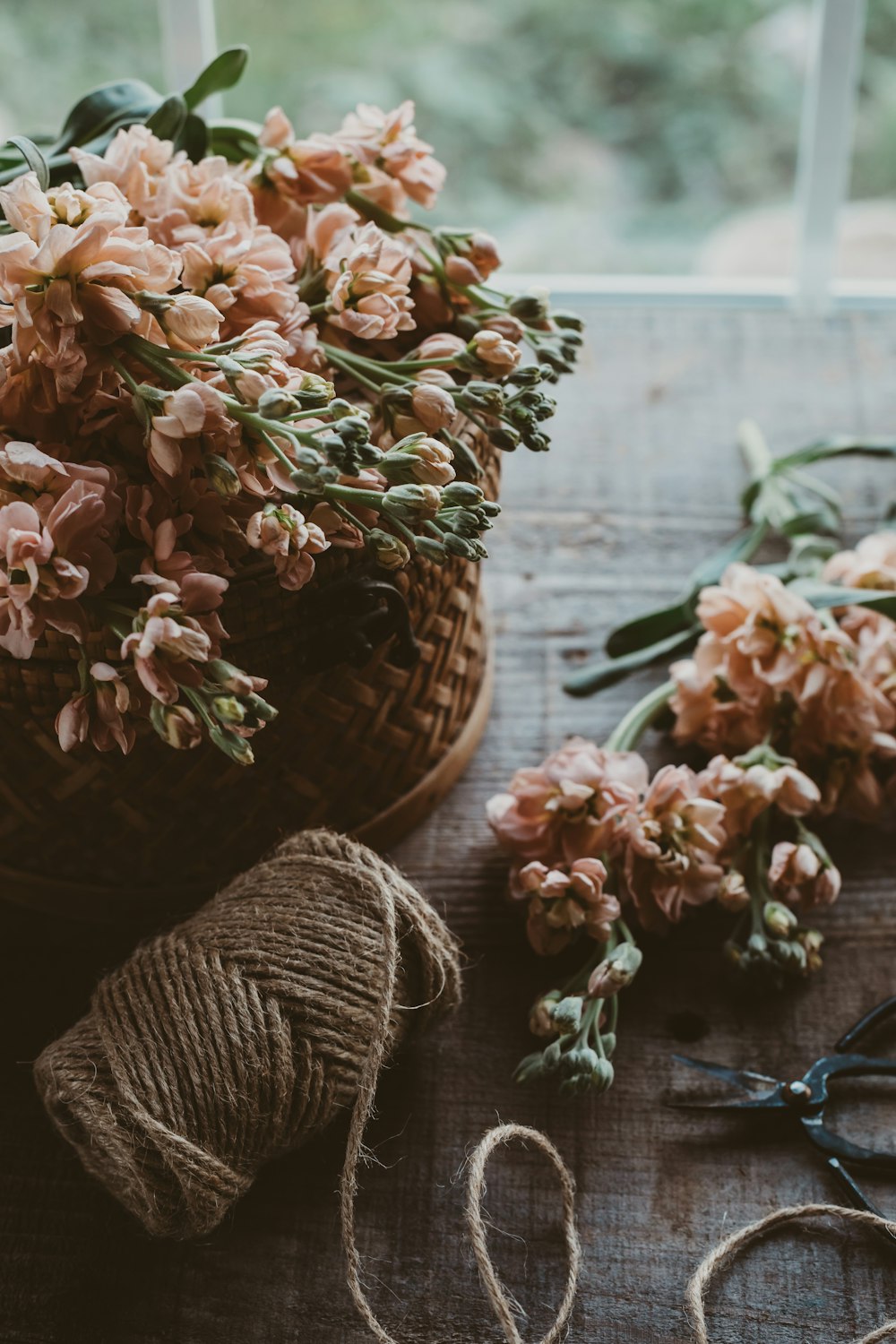 茶色の枝編み細工品バスケットに茶色と白の花の花束の写真 Unsplashで見つける花の無料写真