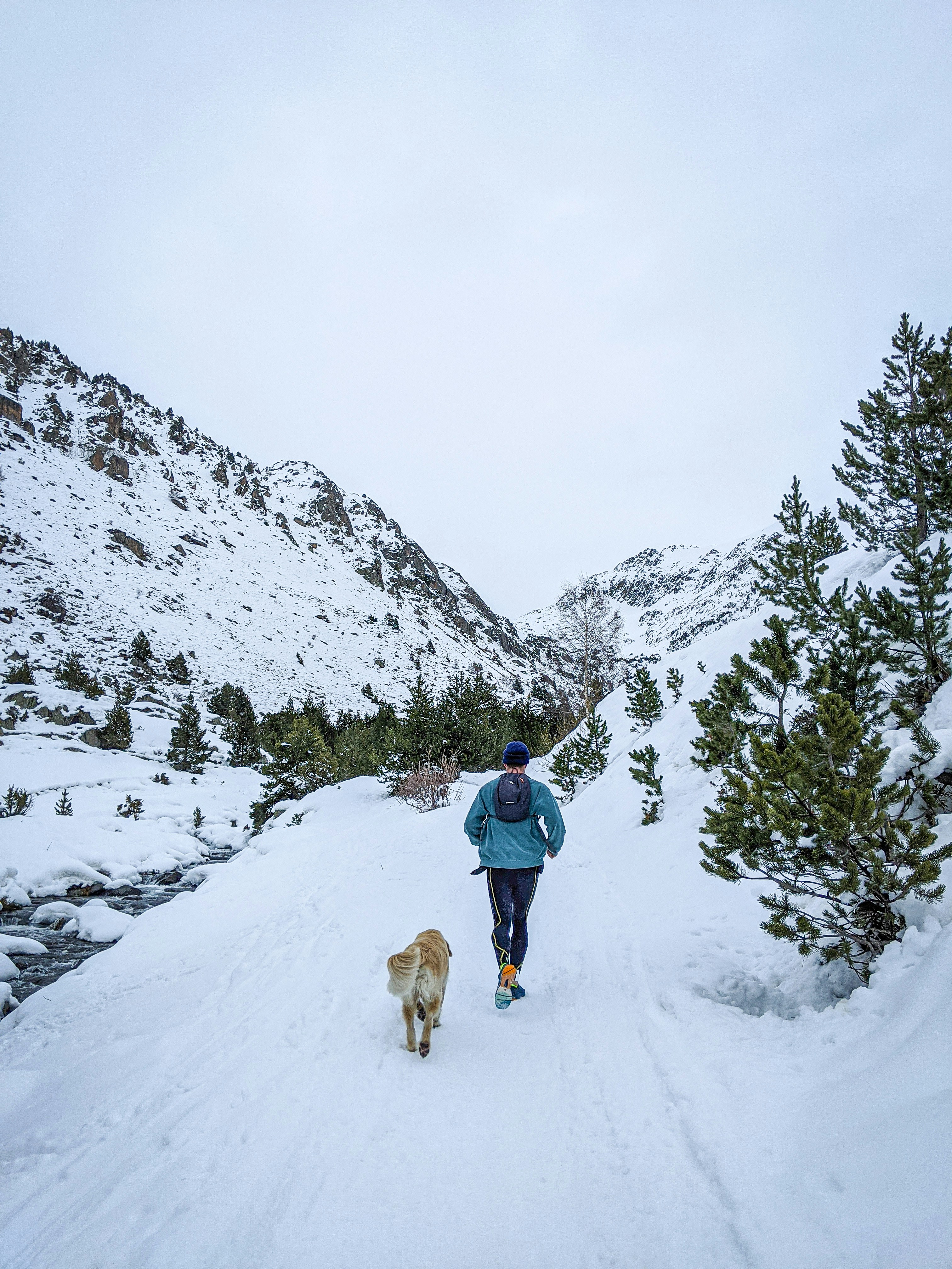 Hombre con chaqueta azul y jeans de mezclilla azul caminando sobre suelo cubierto de nieve con perro marrón