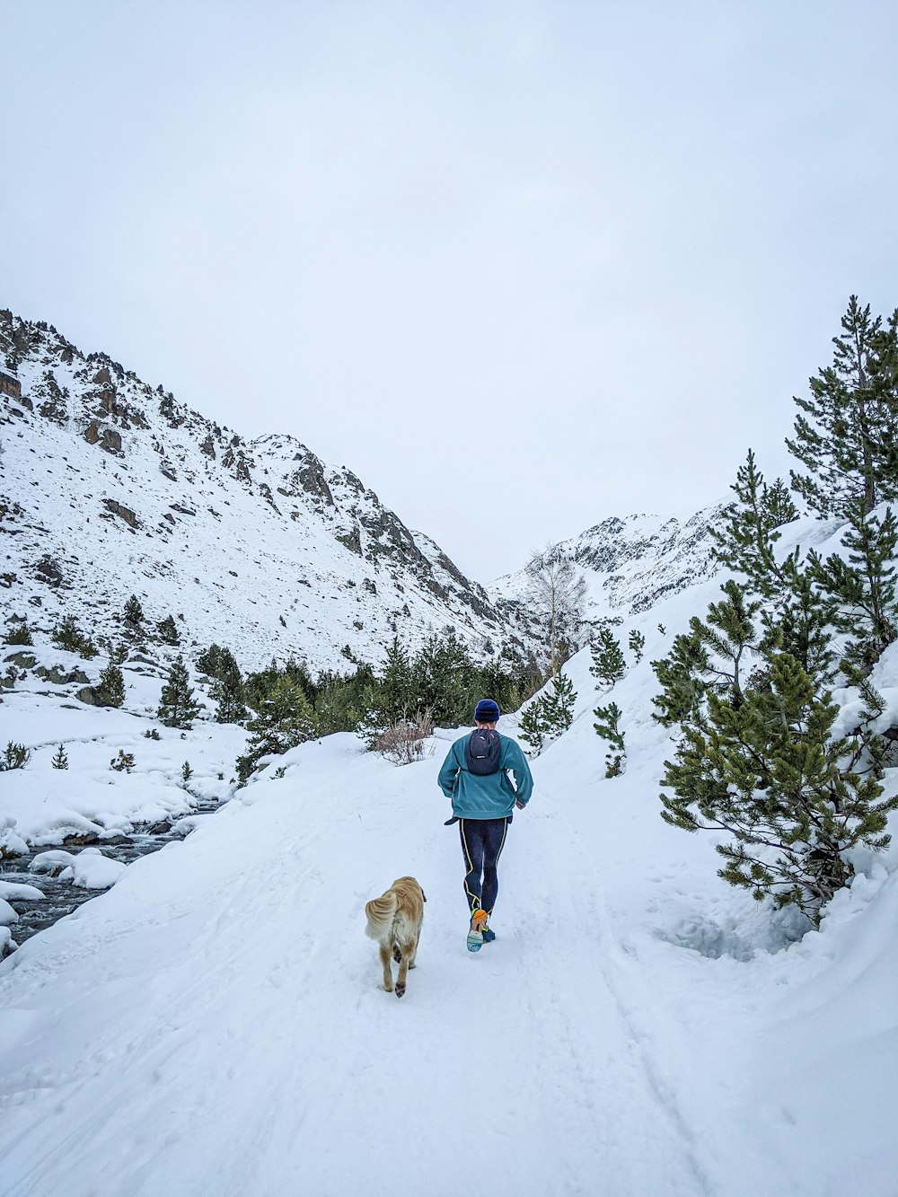 man in blue jacket and blue denim jeans walking on snow covered ground with brown dog