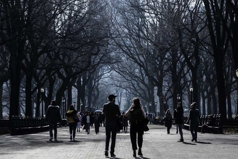 people walking on road near bare trees during daytime