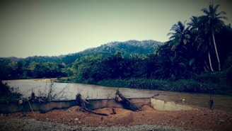 A serene landscape with a river flowing gently through lush greenery, bordered by verdant trees and palm trees. A low concrete structure is partly submerged in the water, indicating a possible dam or water management infrastructure. The background features a range of forested hills under a clear sky.